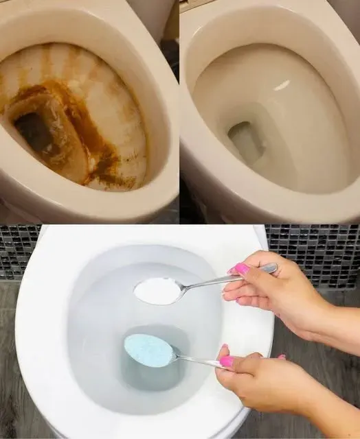 Original post image accompanying How White Vinegar Helps Loosen Toilet Limescale
