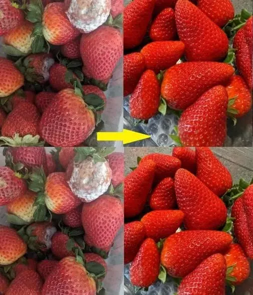 Original post image accompanying How to Keep Strawberries Fresh Longer