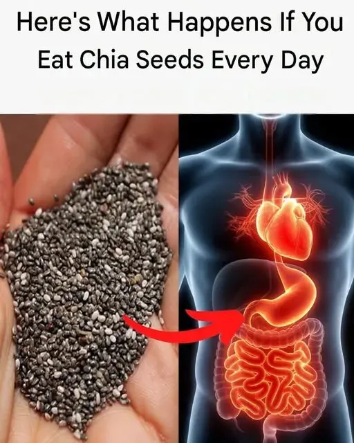 Original post image accompanying What Eating Chia Seeds Daily May Change